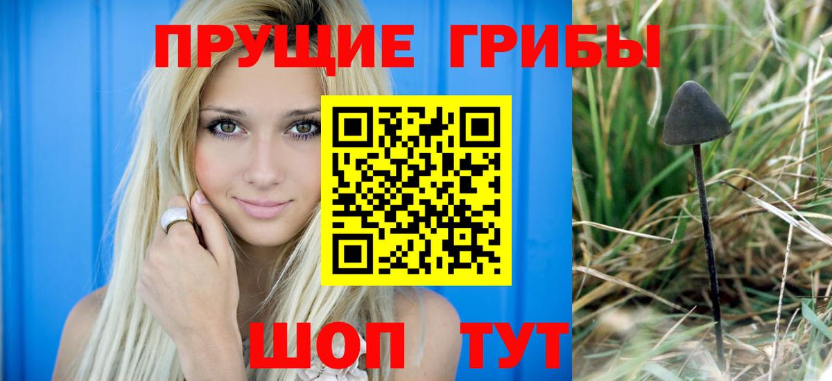 Туймазы  Галлюциногенные грибы GOLDEN TEACHER  Вход с VPN 